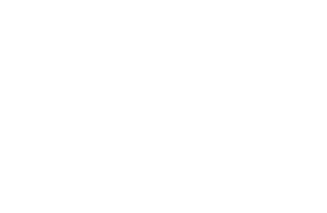 Logo der Palermo Pop Pistols